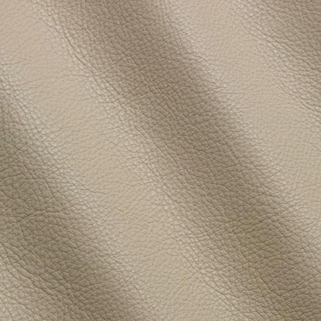 Aligo Group фото