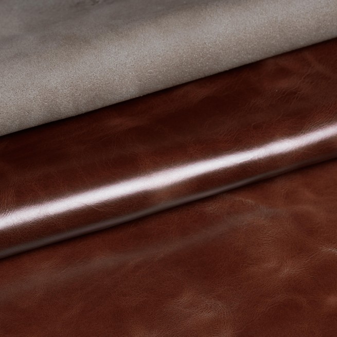 Aligo Group фото