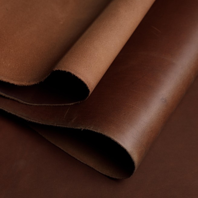 Aligo Group фото