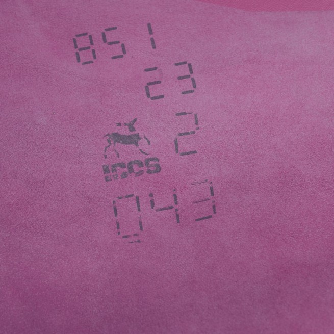 Aligo Group фото