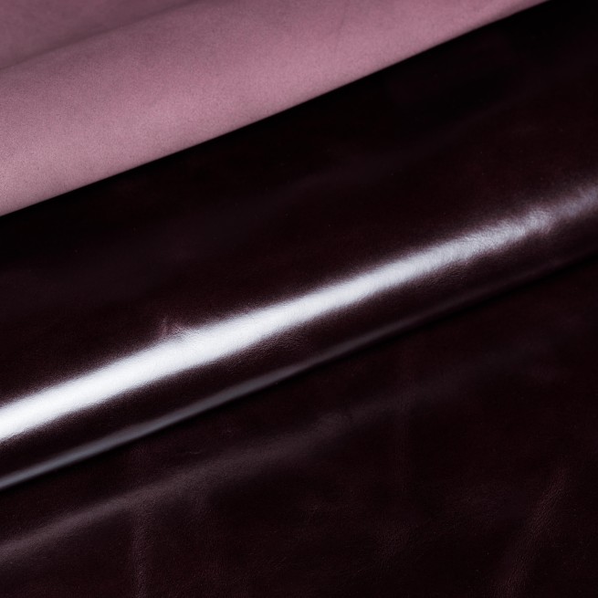 Aligo Group фото