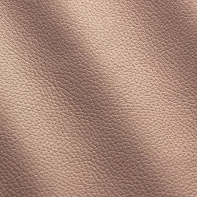 Aligo Group фото