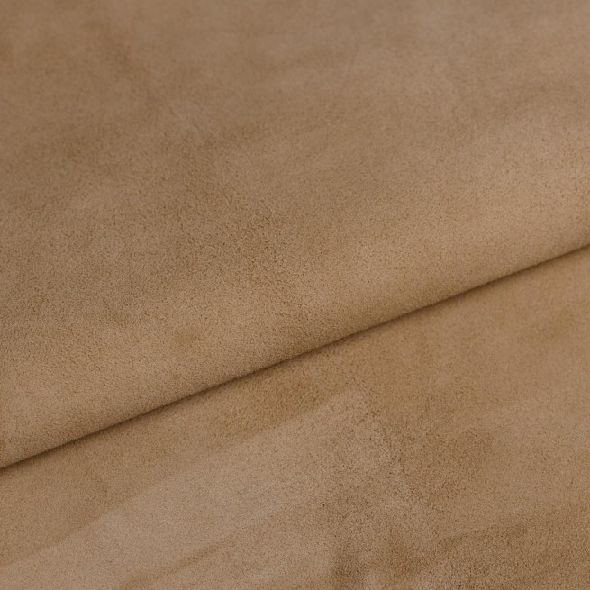 Aligo Group фото