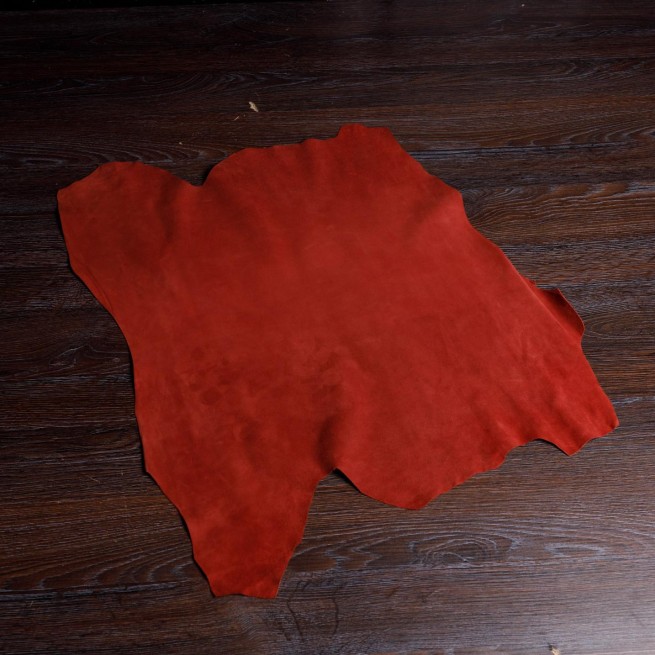 Aligo Group фото