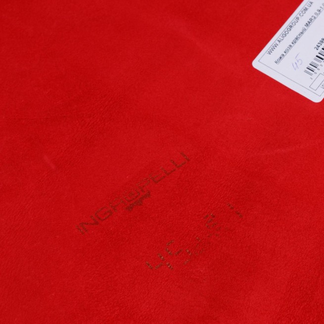 Aligo Group фото