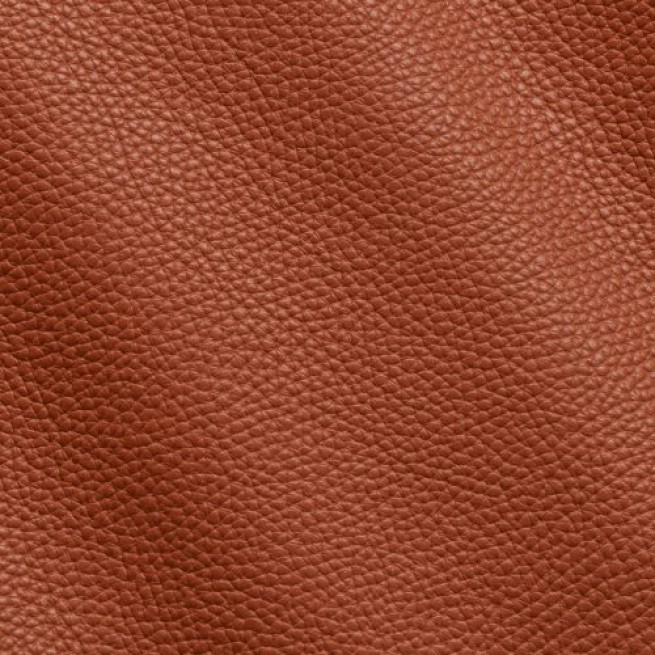 Шкіра ВРХ Флотар ADRIA помаранчевий EXUBERANCE 1,2-1,4 Італія