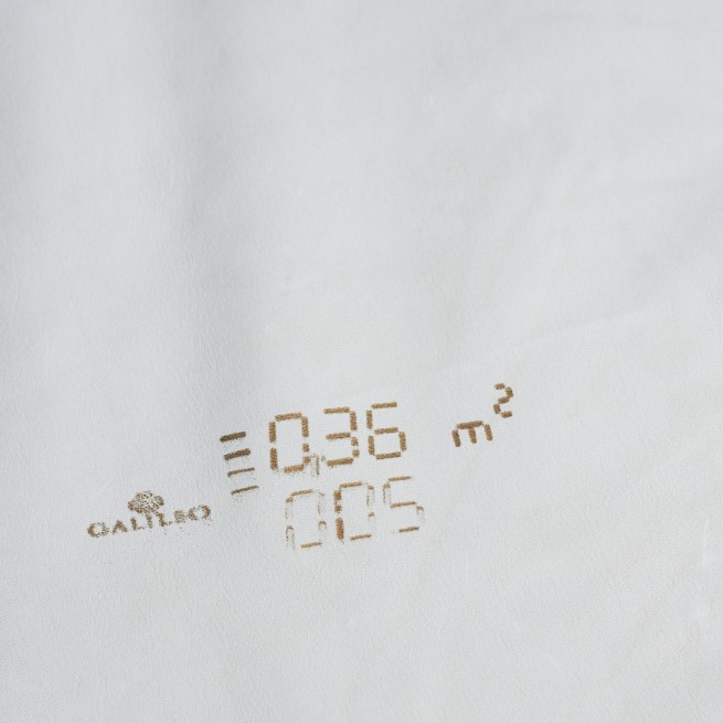 Aligo Group фото