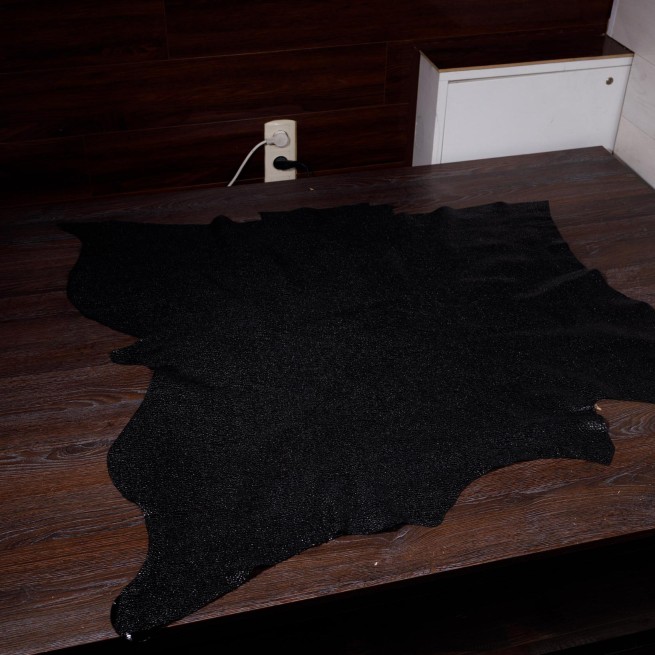 Aligo Group фото