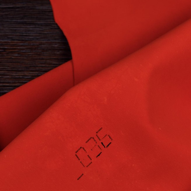 Aligo Group фото