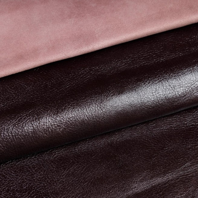 Aligo Group фото