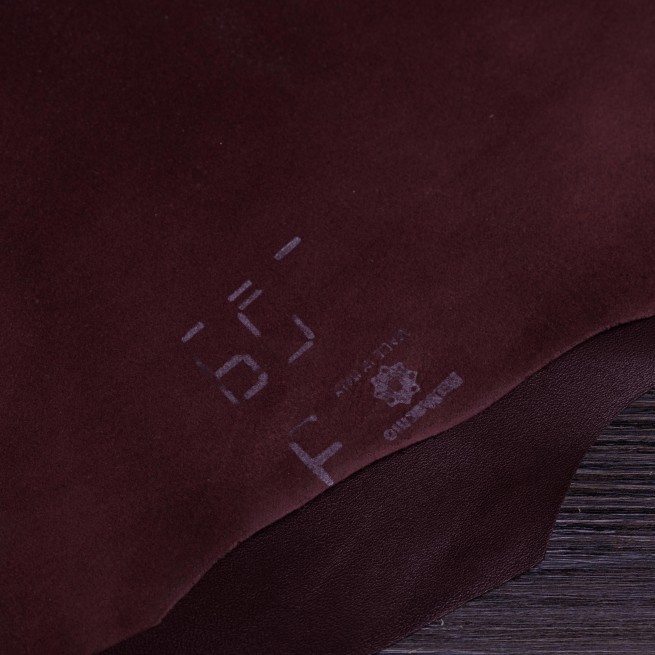 Aligo Group фото