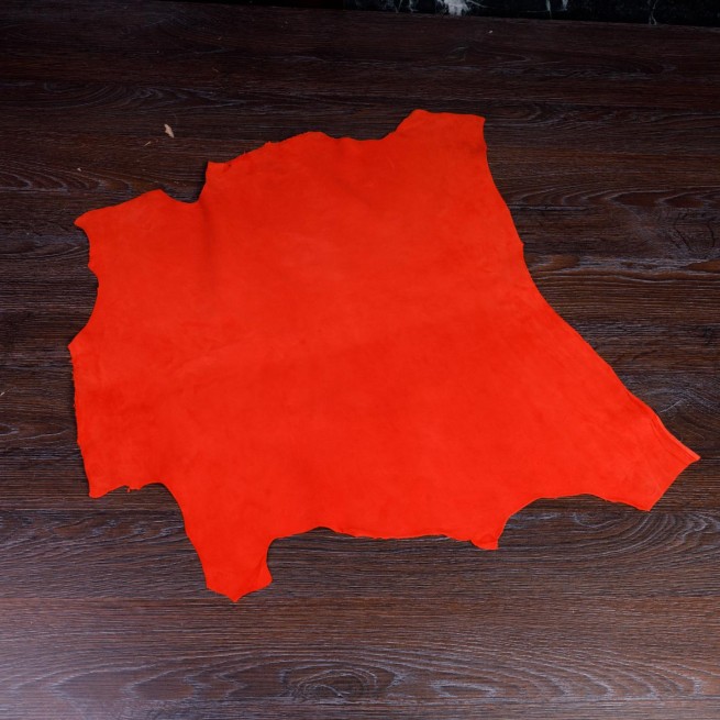 Aligo Group фото