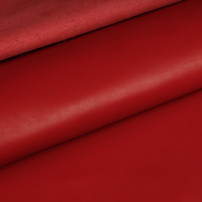 Aligo Group фото