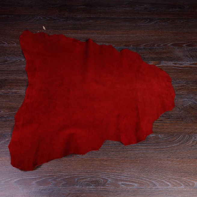 Aligo Group фото