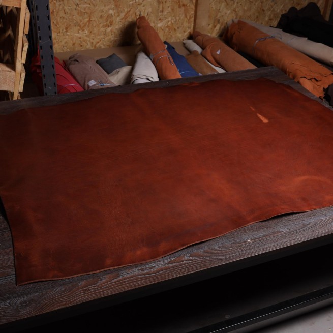 Aligo Group фото