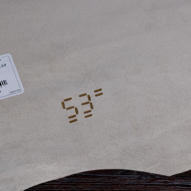 Aligo Group фото