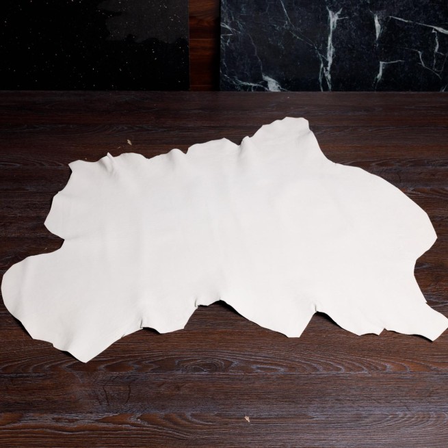 Aligo Group фото