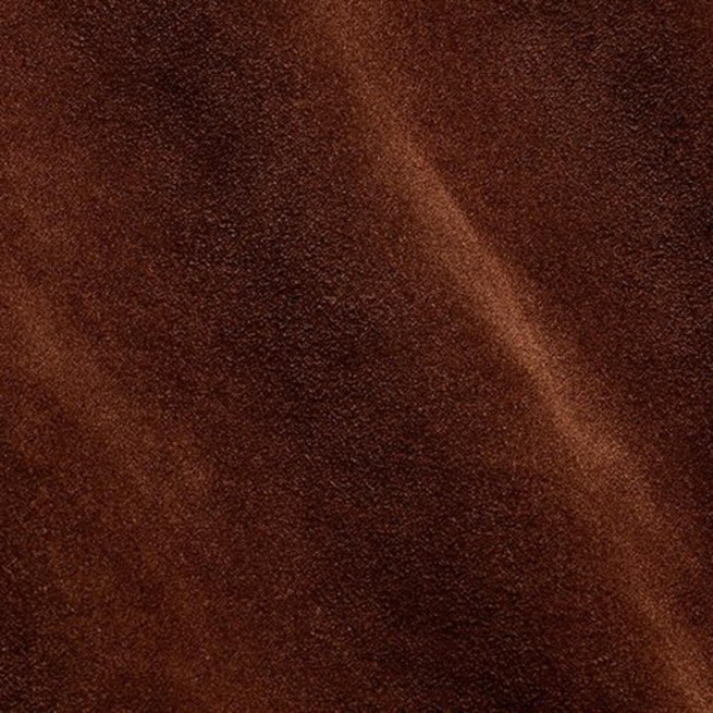 Aligo Group фото