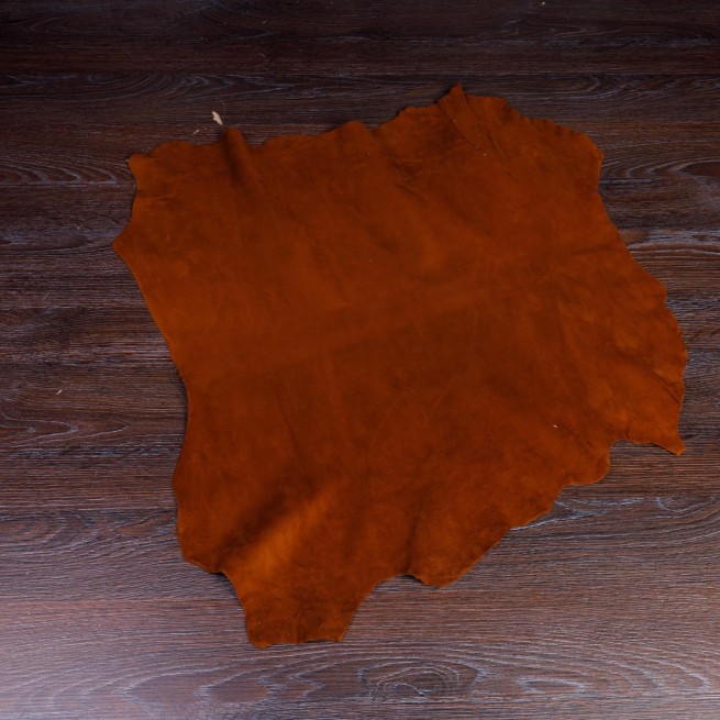 Aligo Group фото