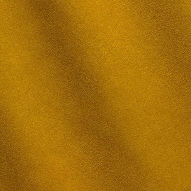 Aligo Group фото