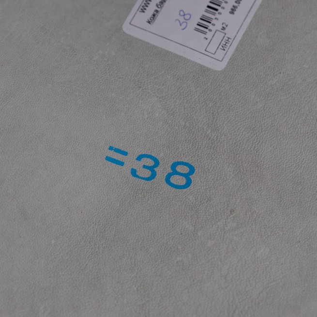 Aligo Group фото