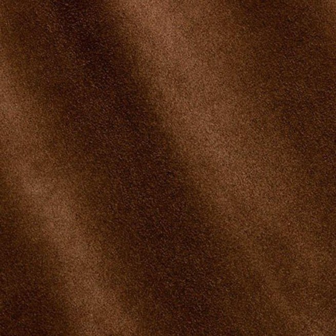 Aligo Group фото