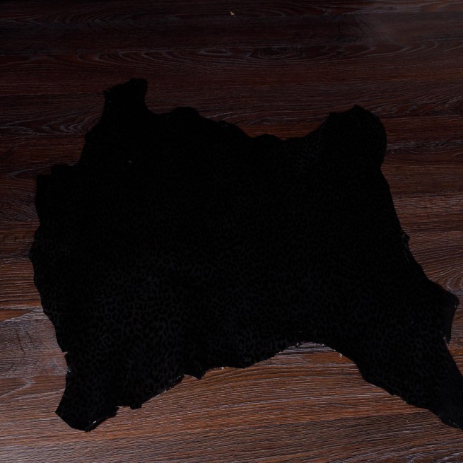 Aligo Group фото