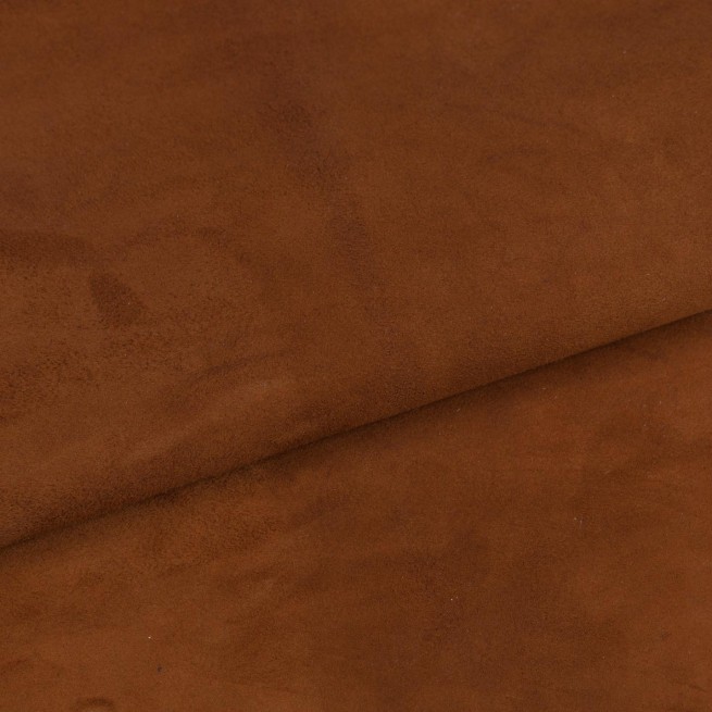 Aligo Group фото