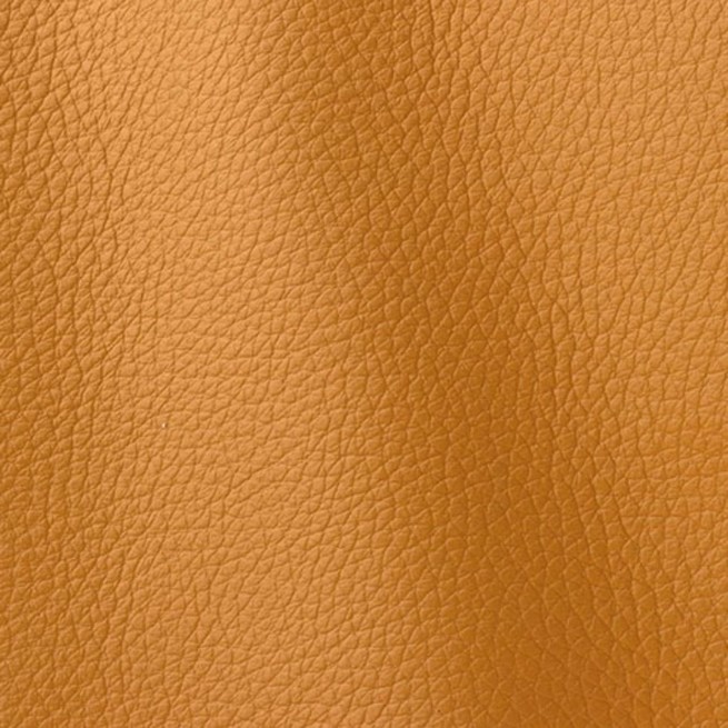 Aligo Group фото