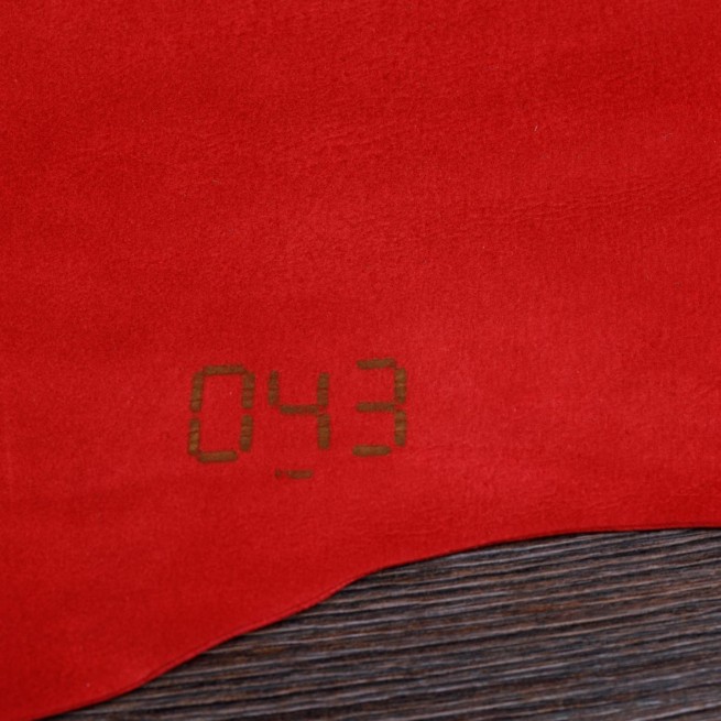 Aligo Group фото