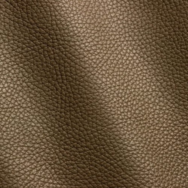 Aligo Group фото