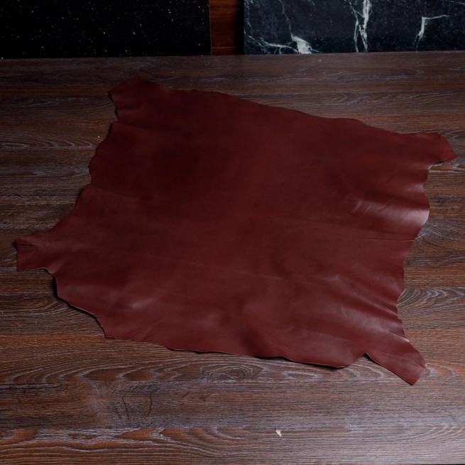 Aligo Group фото