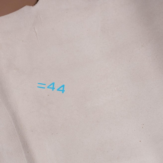 Aligo Group фото