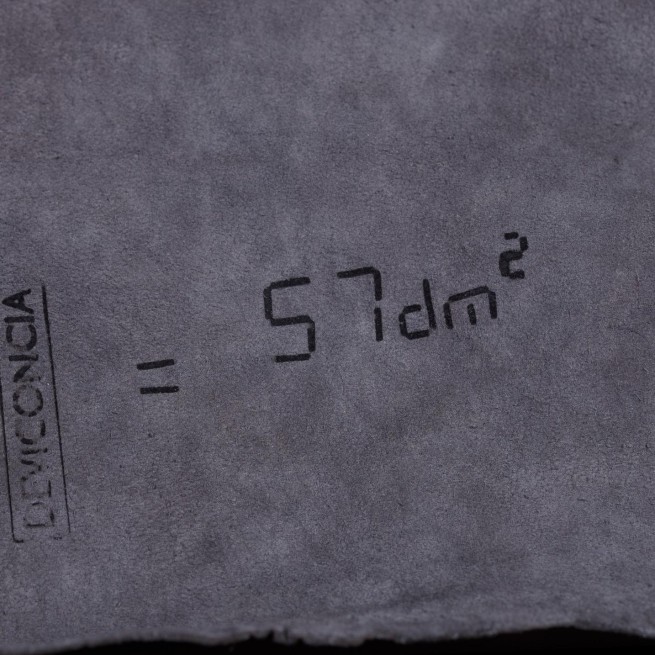 Aligo Group фото