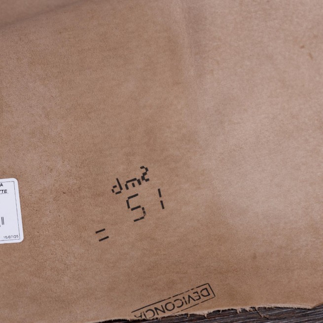 Aligo Group фото