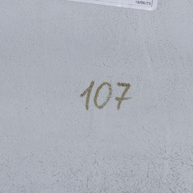 Aligo Group фото