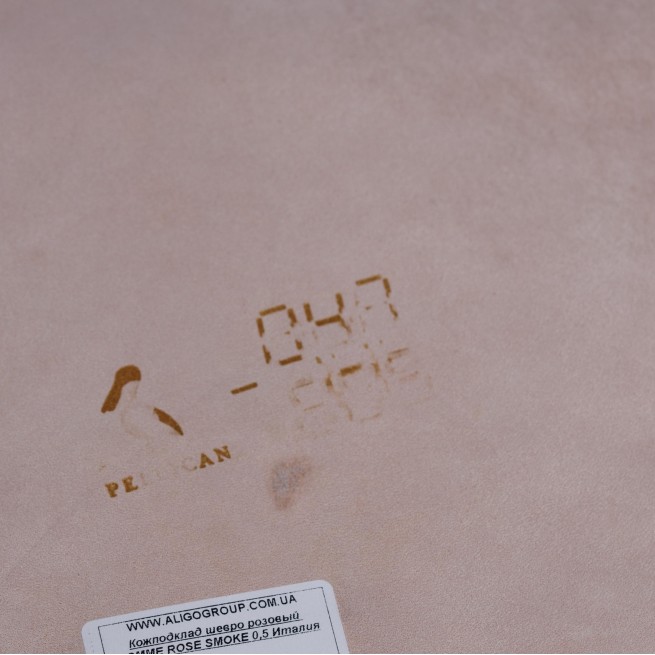 Aligo Group фото