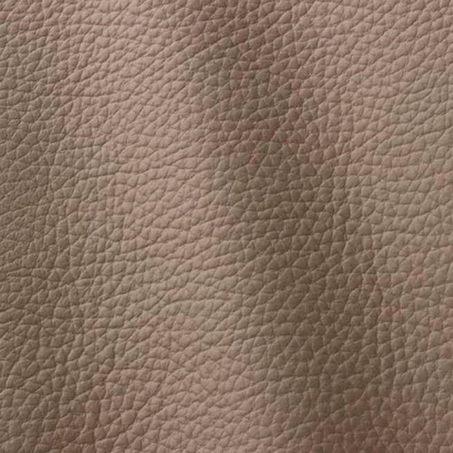 Aligo Group фото