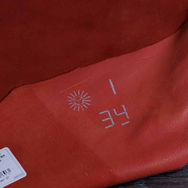 Aligo Group фото