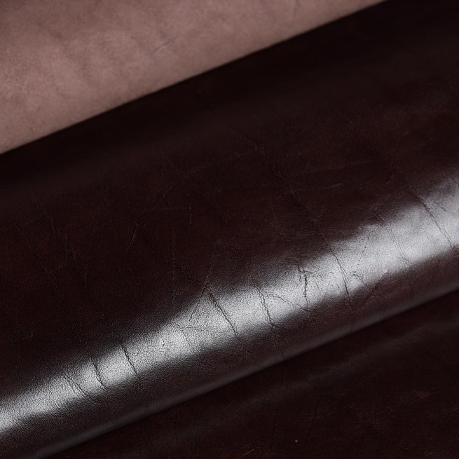 Aligo Group фото