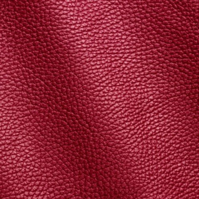 Aligo Group фото