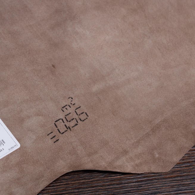 Aligo Group фото