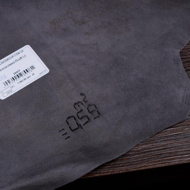 Aligo Group фото