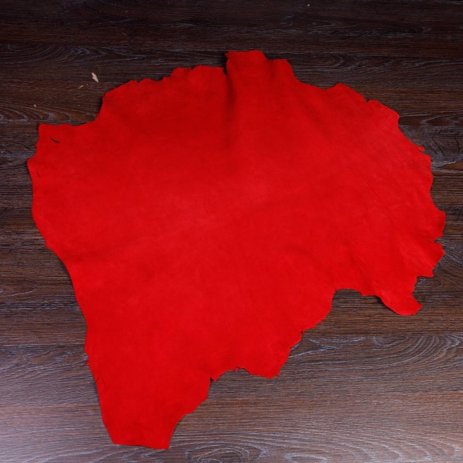 Aligo Group фото