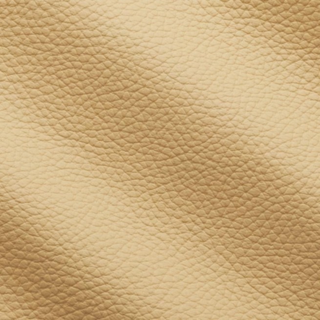 Aligo Group фото