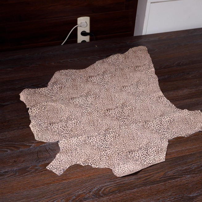 Aligo Group фото