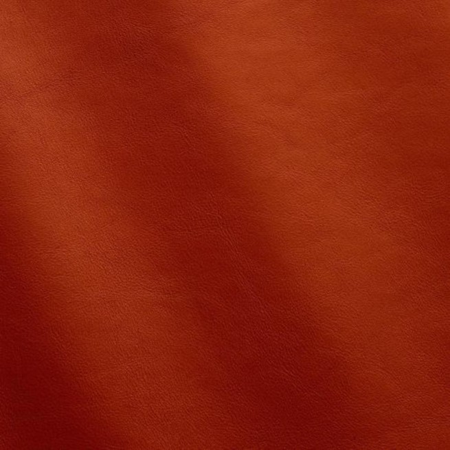 Aligo Group фото