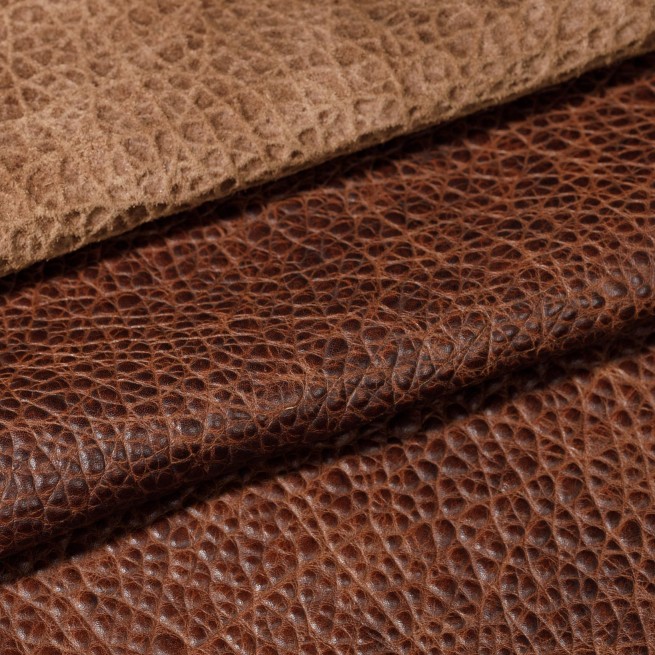 Aligo Group фото