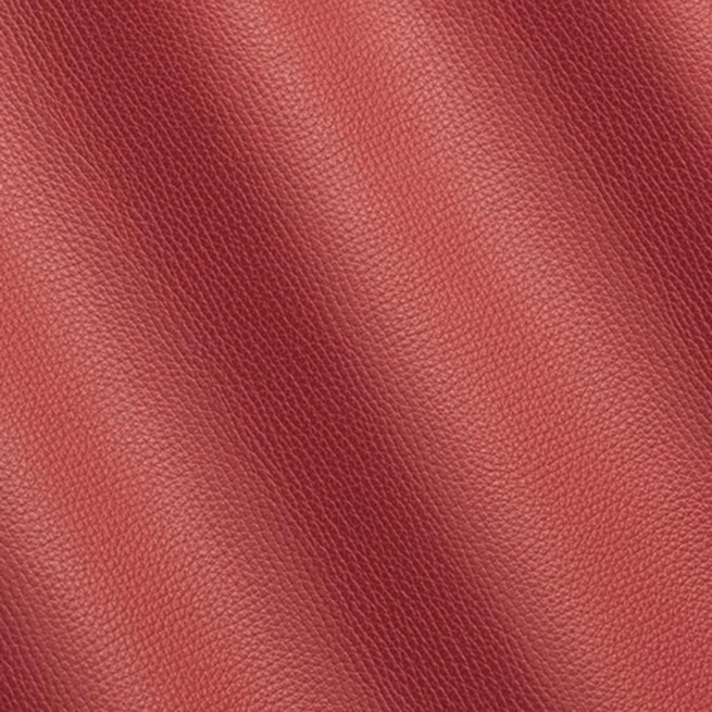 Aligo Group фото