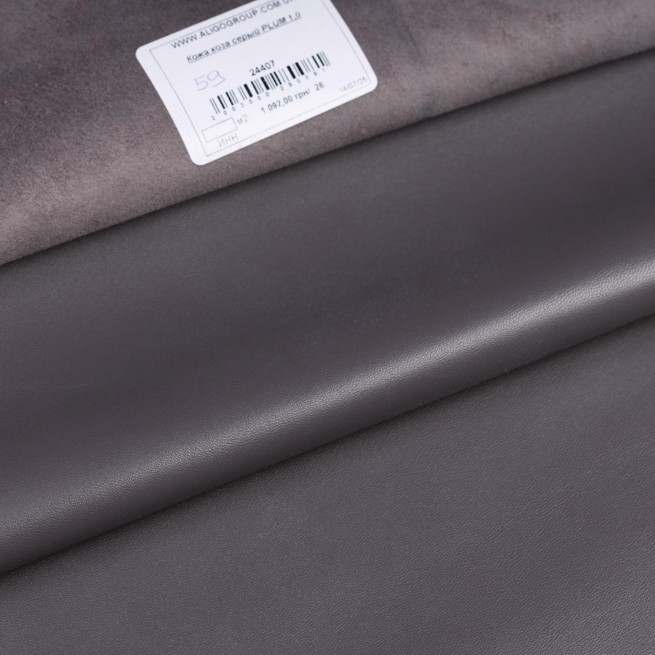 Aligo Group фото